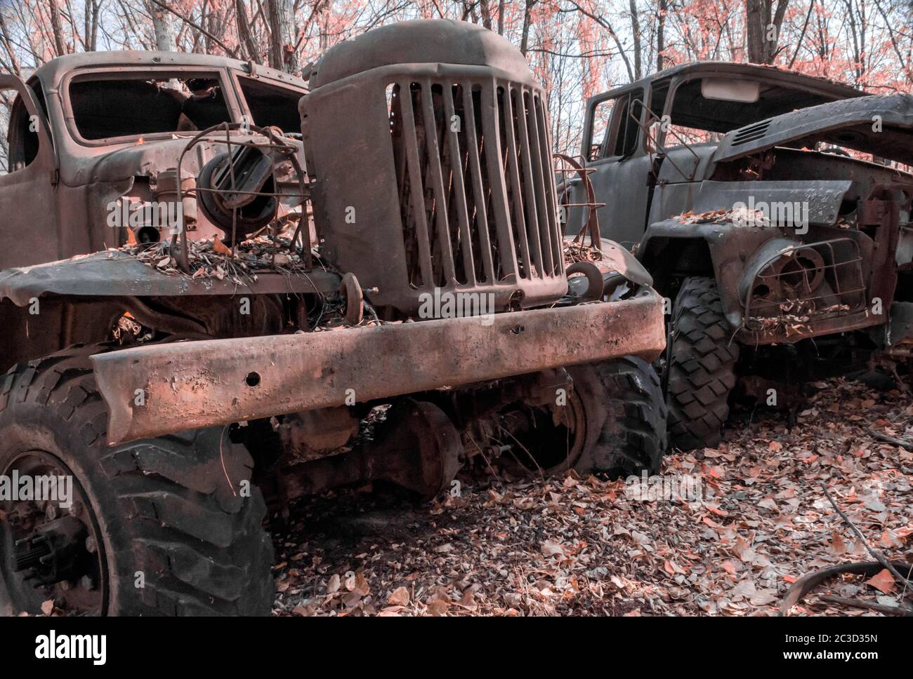 two abandoned army trucks in the Chernobyl forest Stock Photo