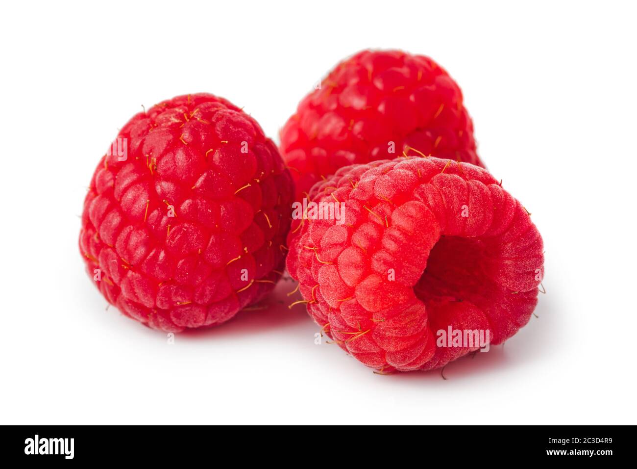 Raspberry Stock Photo