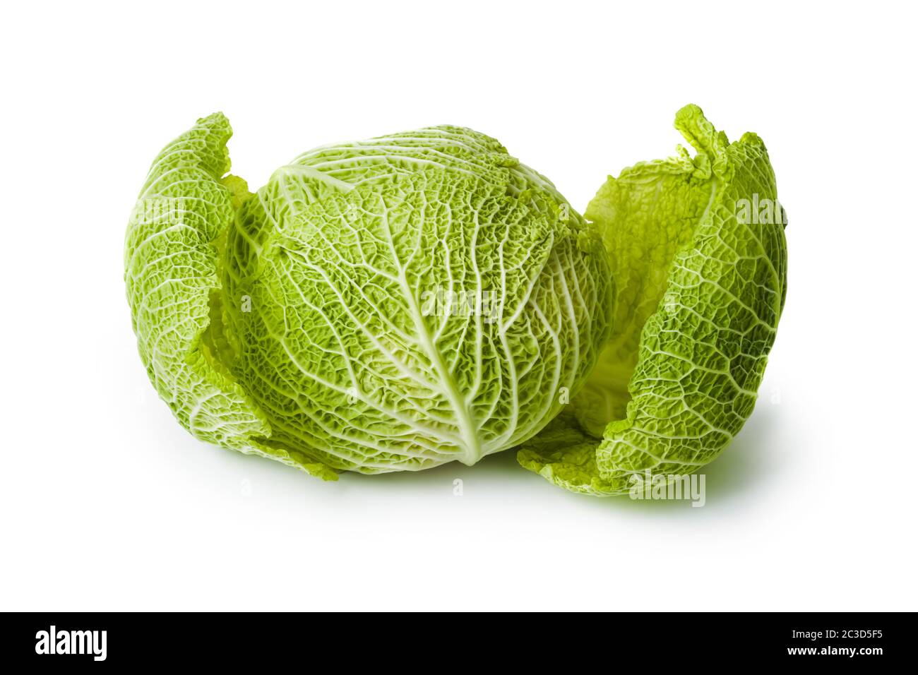 Cabbage Stock Photo