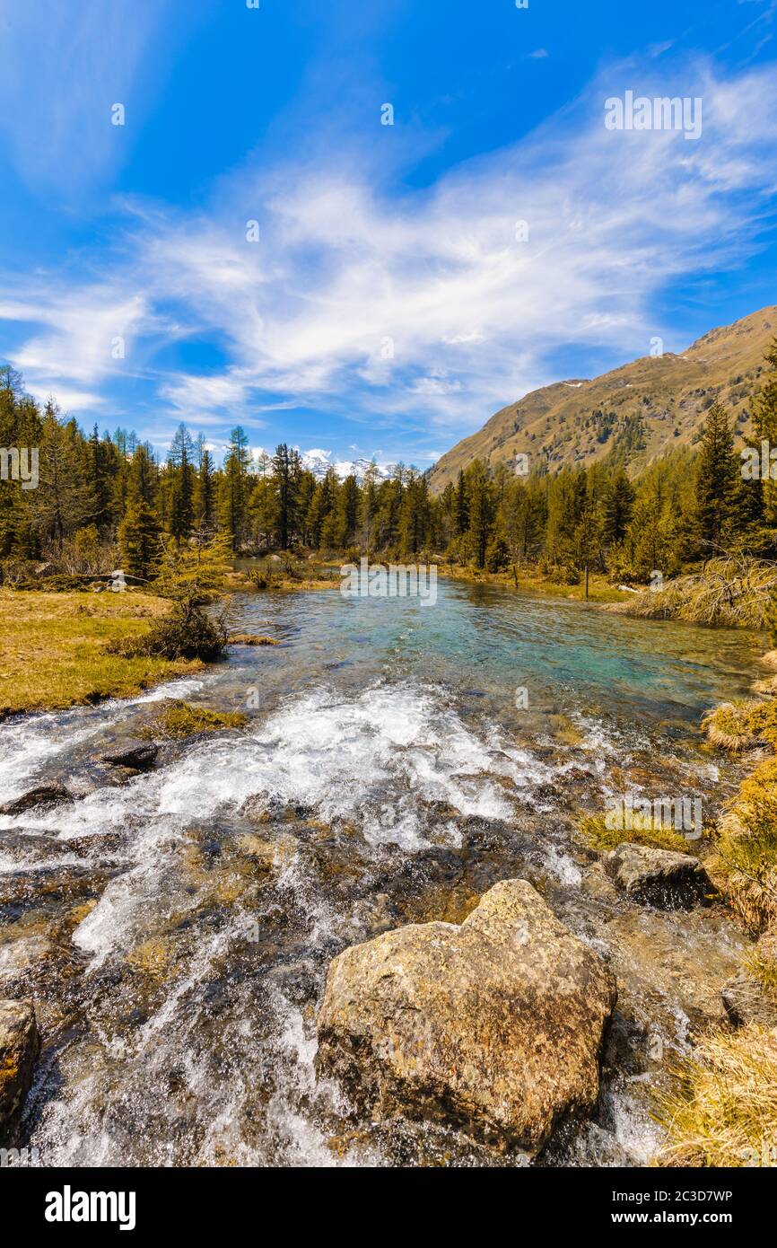 Mountain river on a sunny day in Poschiavo, Grisons, Switzerland. Stock Photo