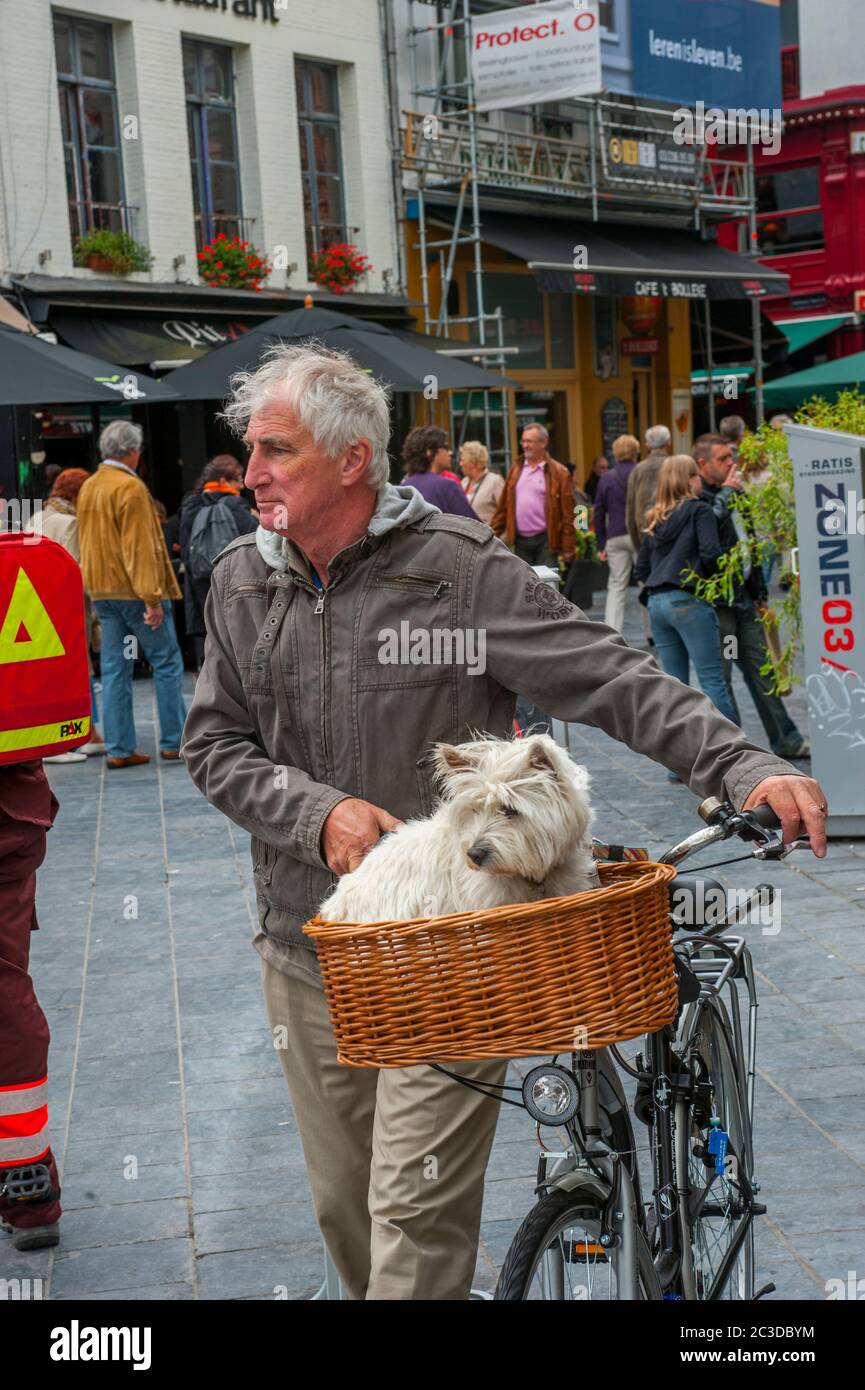 Belgium bicycle basket hi-res stock photography and images - Alamy