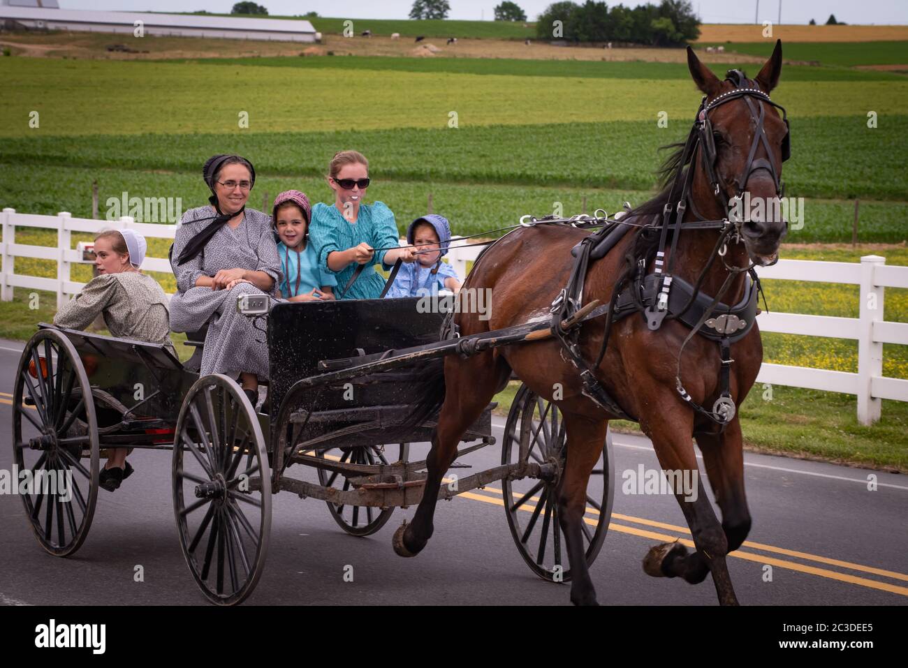 Amish, Lancaster county. woman and young girl driving carriage into