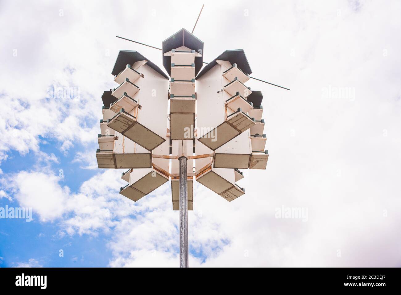 Purple martin birdhouse hi-res stock photography and images - Alamy