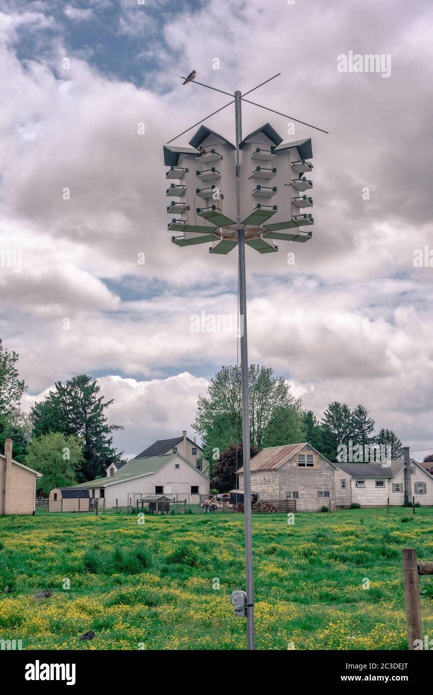 Purple martin birdhouse hi-res stock photography and images - Alamy