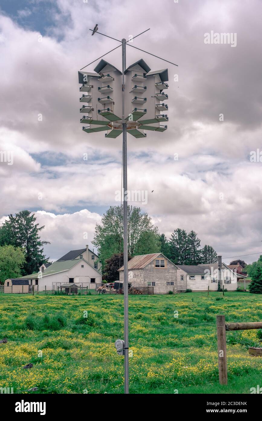 Purple martin birdhouses on Amish farm Stock Photo - Alamy