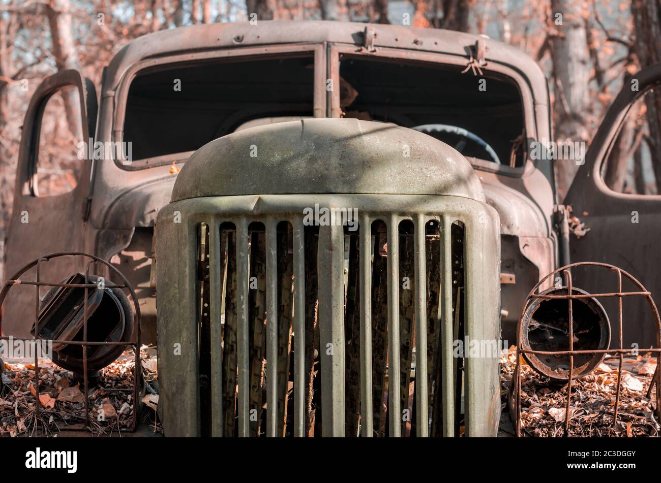 rusty military truck cab in the Chernobyl forest close up Stock Photo