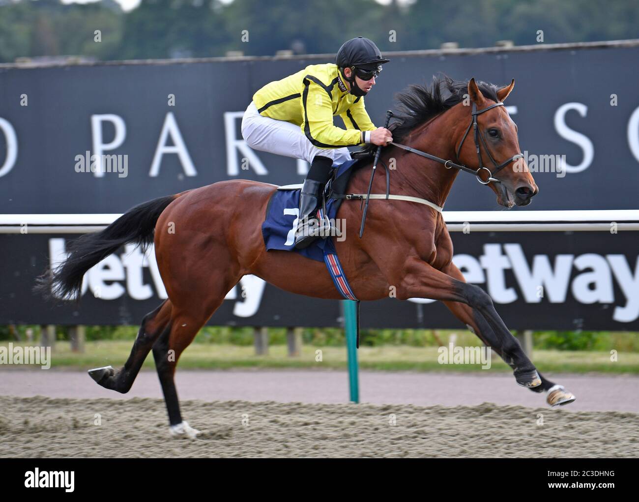 Rommel ridden by Charlie Bishop wins the Betway Maiden Auction Stakes at Lingfield Park Racecourse. Stock Photo