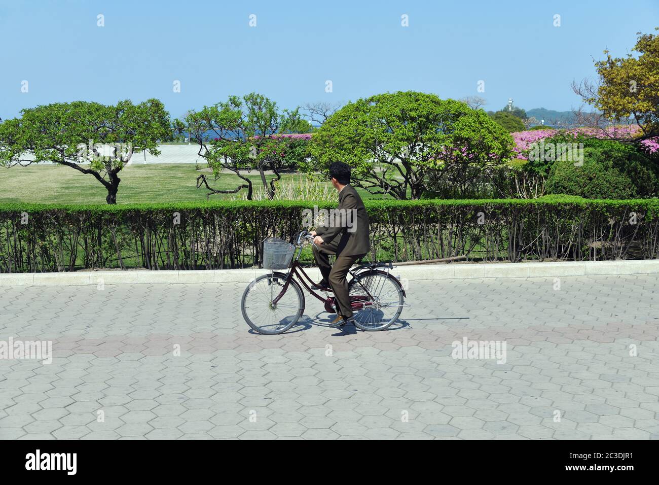 bike rides 2019