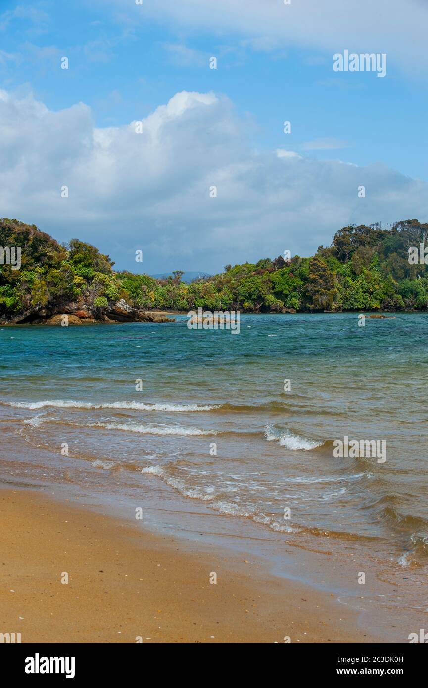 New zealand preservation inlet hi-res stock photography and images - Alamy