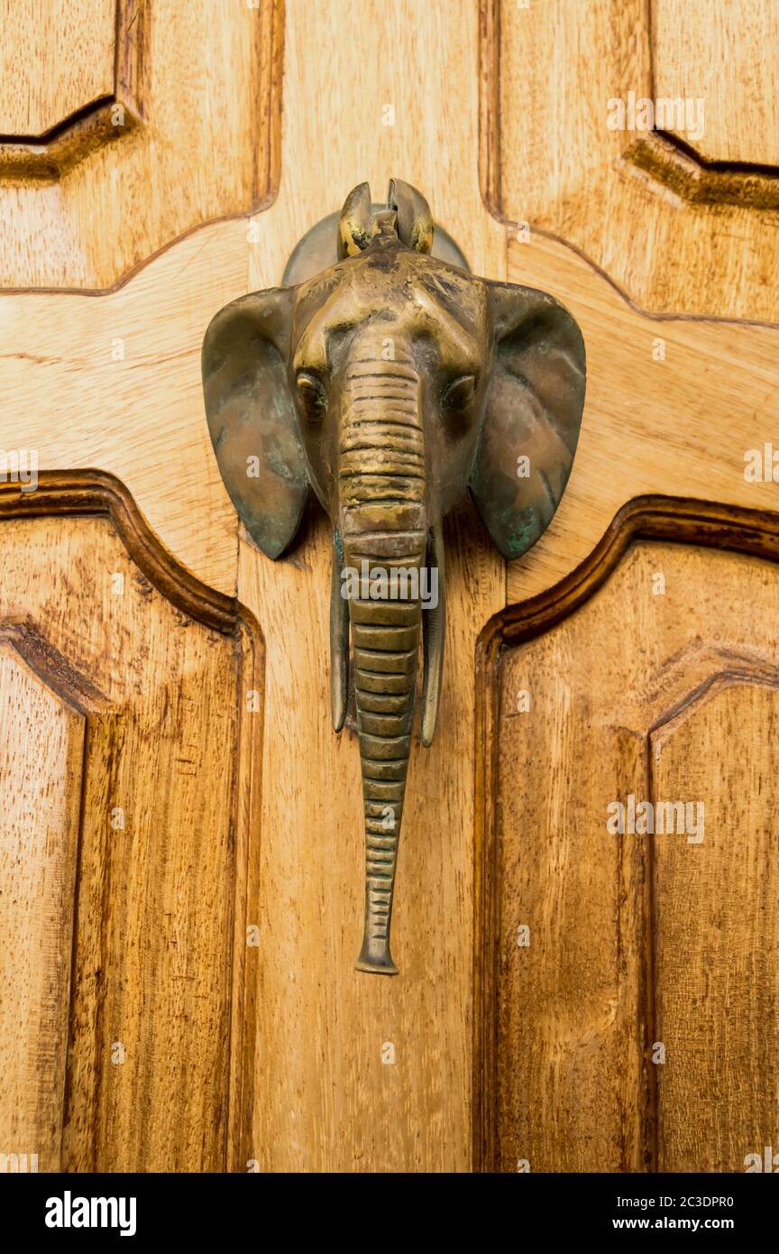 Vintage bronze elephant head knocker on wooden door, Victoria, Gozo, Malta Stock Photo