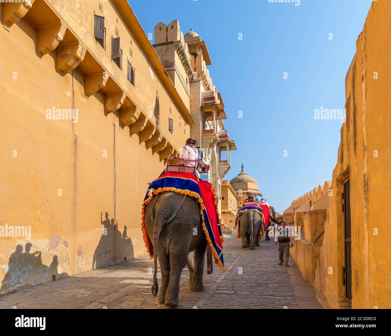 Elephant rides on the path up to the Amber Fort, Jaipur, Rajasthan, India Stock Photo