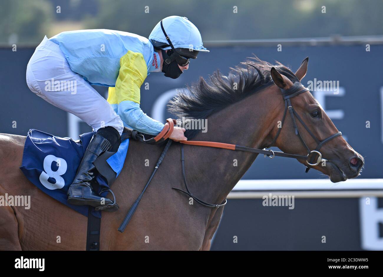 Ligera ridden by Charlie Bennett wins the Betway Fillies’ Novice Stakes at Lingfield Park Racecourse. Stock Photo