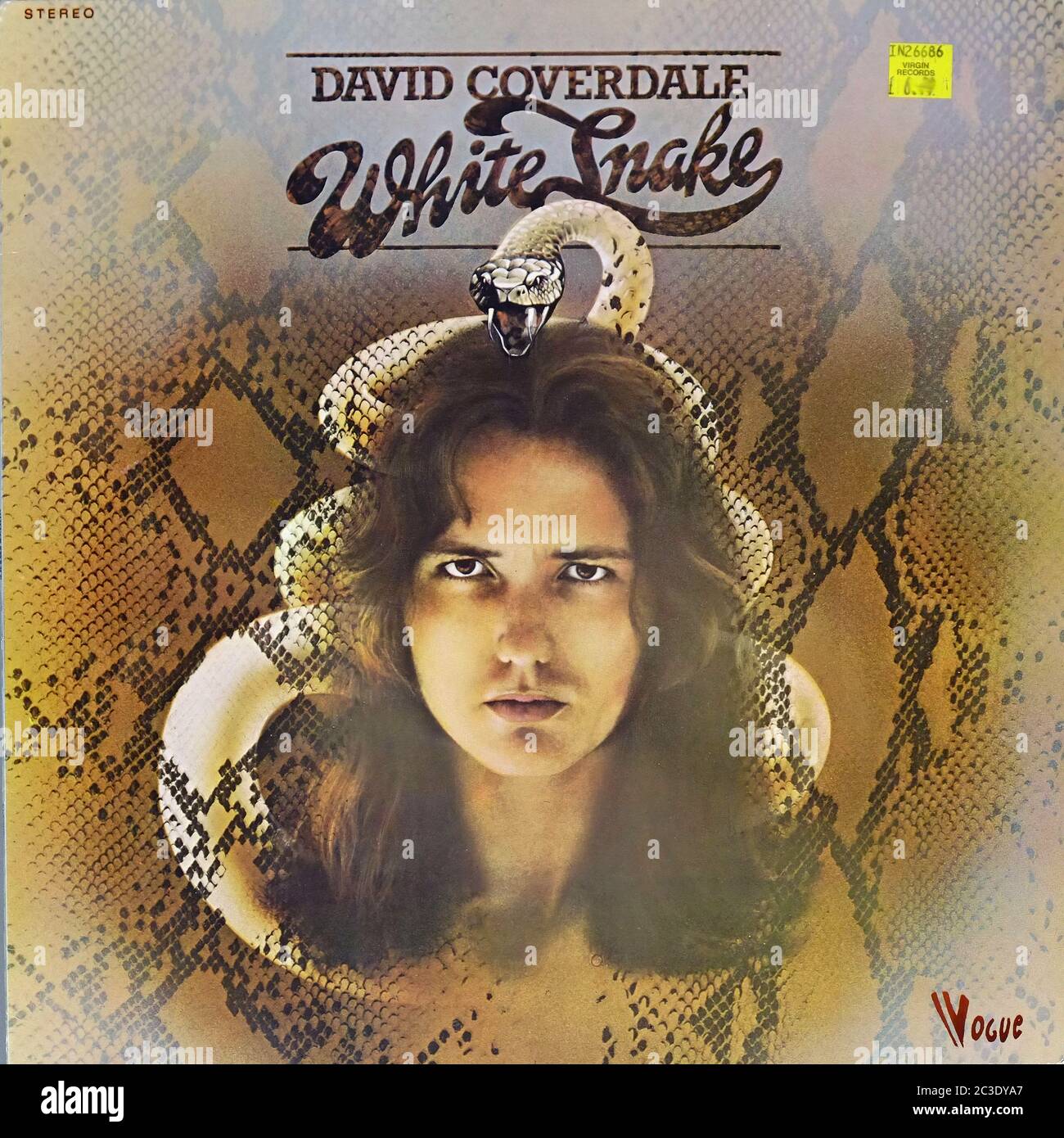 DAVID COVERDALE WHITE SNAKE  - Vintage 12'' LP vinyl Cover Stock Photo