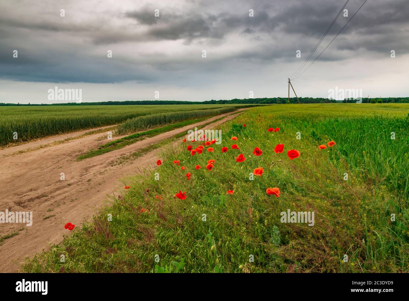 Landscape before rain field wildflowers hi-res stock photography and ...