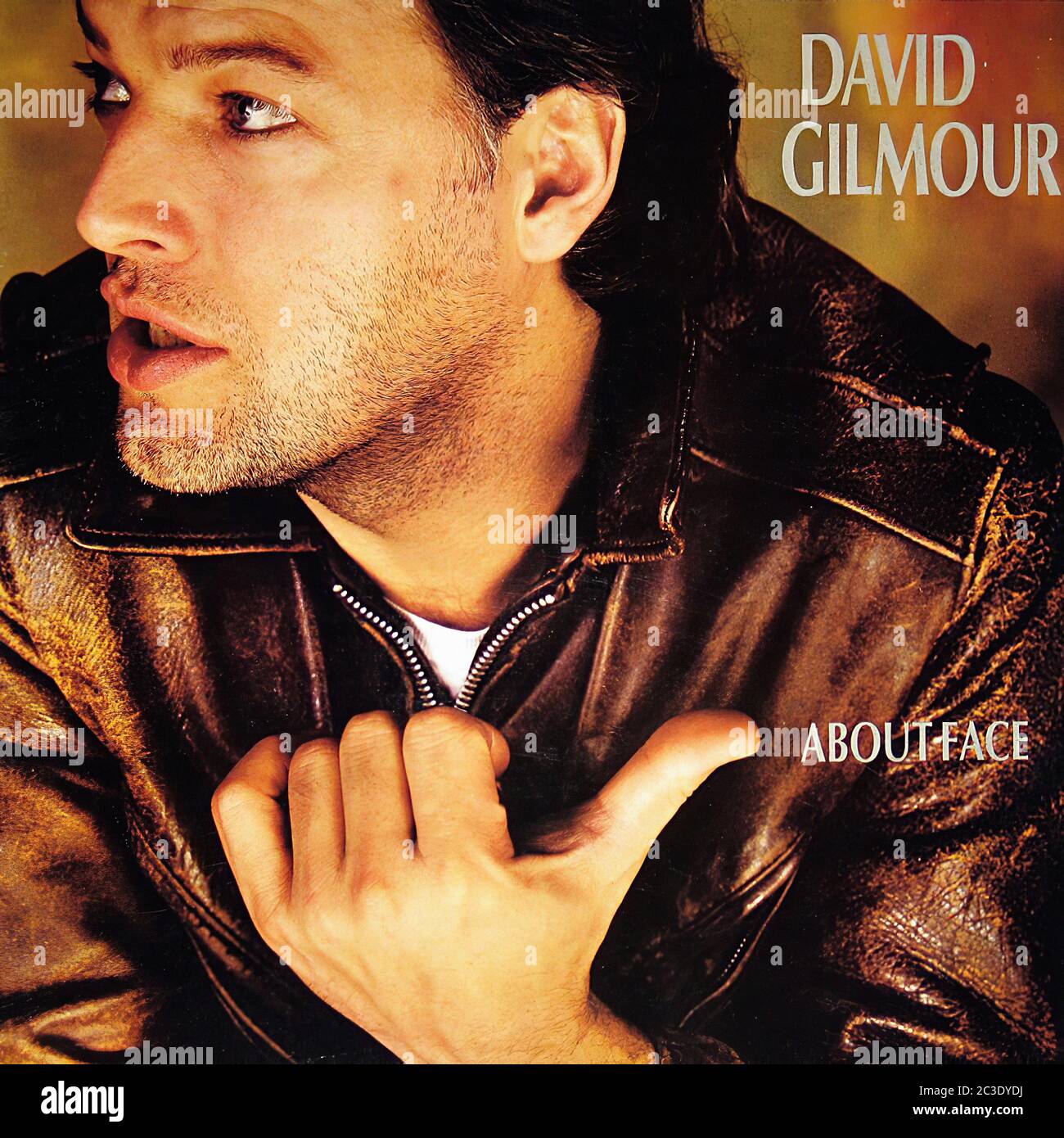 DAVID GILMOUR About Face Vintage 12'' vinyl Lp Cover Stock Photo Alamy