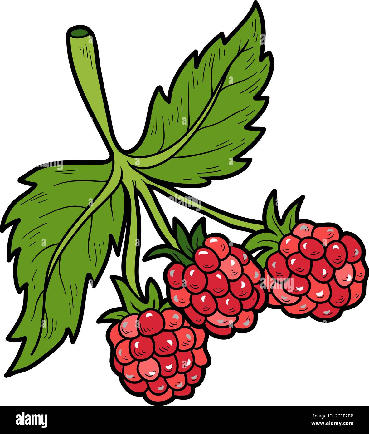 Color image, vector cartoon berry, Raspberry Stock Vector Image & Art -  Alamy