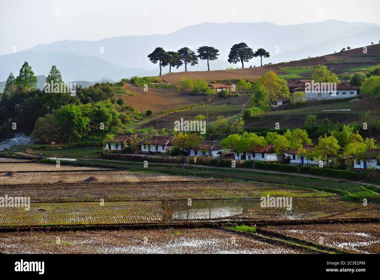 countryside-landscape-north-korea-village-and-rice-fields-shown-at