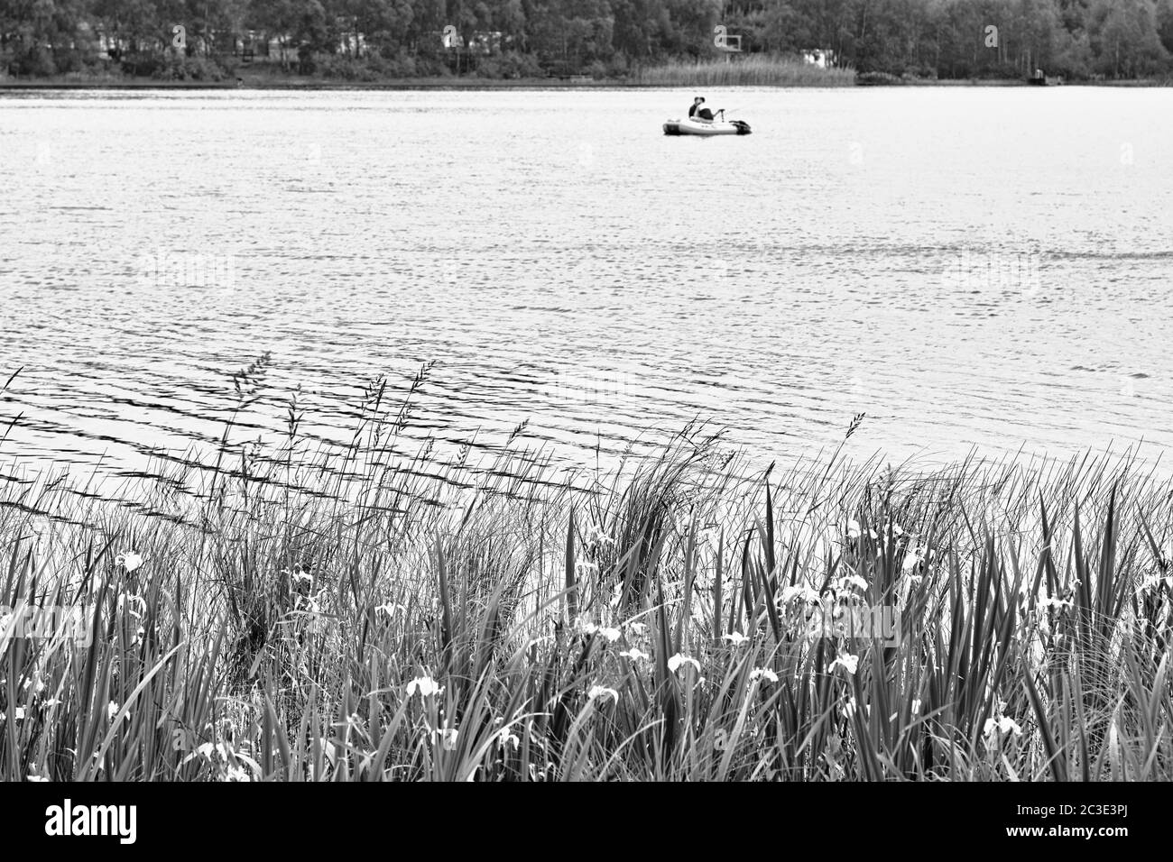 Beauty landscape lake, artistic look in black and white. Stock Photo