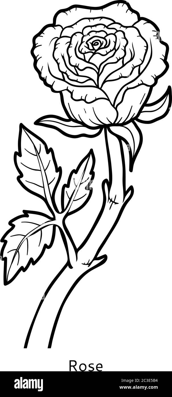 Download Coloring Book For Children Flower Rose Stock Vector Image Art Alamy