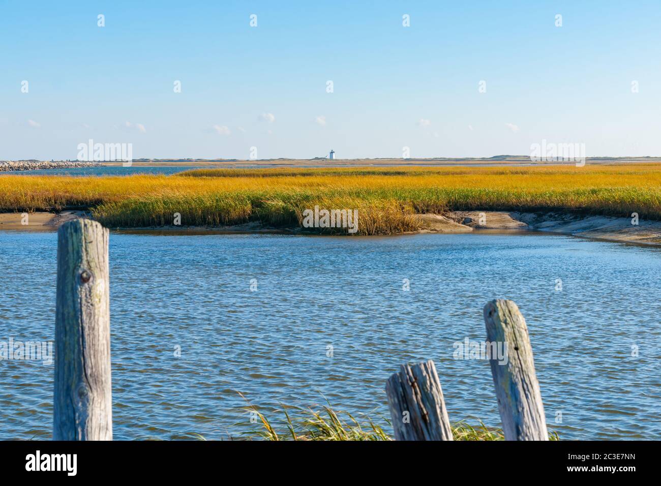 Salt Marsh and Long Point Lighthouse in distance on horizon near Provincetown Cape Cod, USA