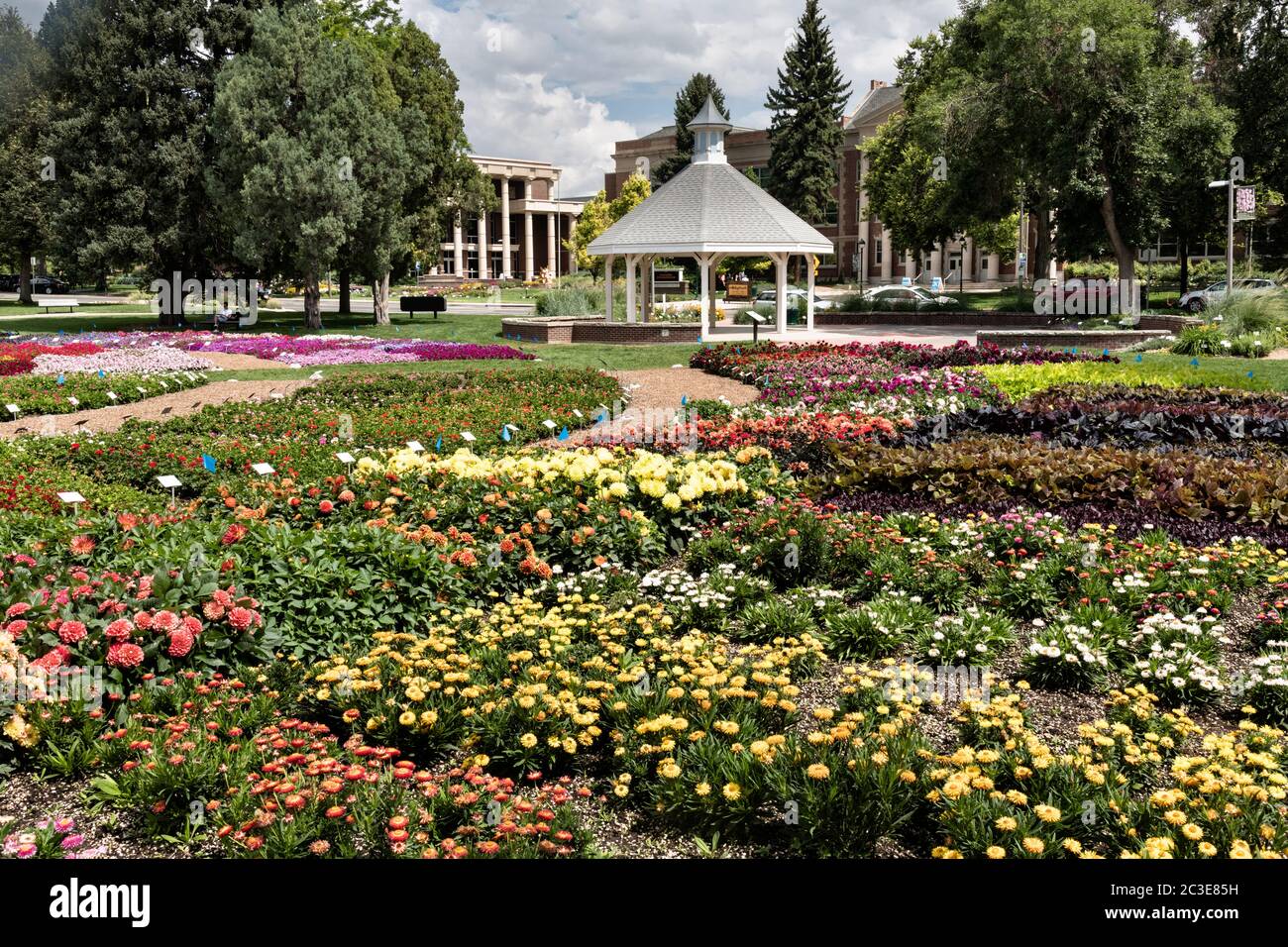 The Flower Trial Garden at Colorado State University in Fort Collins, Colorado. The garden is to evaluate the performance of different annual plant cultivars under the unique Rocky Mountain environmental conditions. Stock Photo