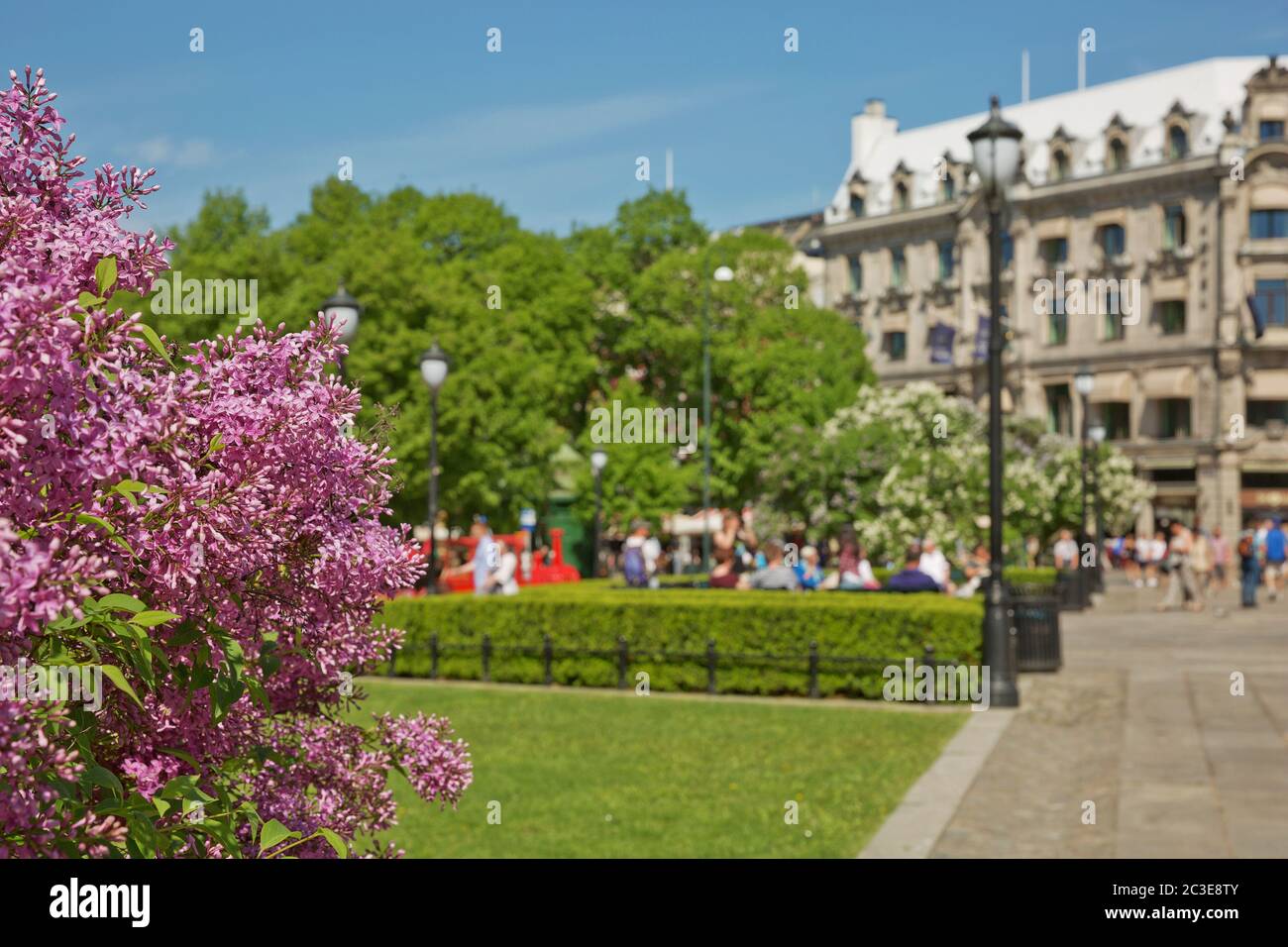 Blooming flowers and people enjoying sunny summer day at park in Oslo, Norway Stock Photo