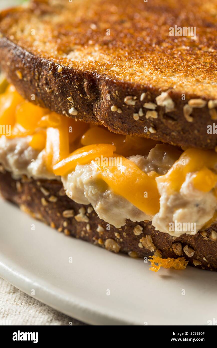Homemade Toasted Tuna Melt Sandwich with Cheese Stock Photo