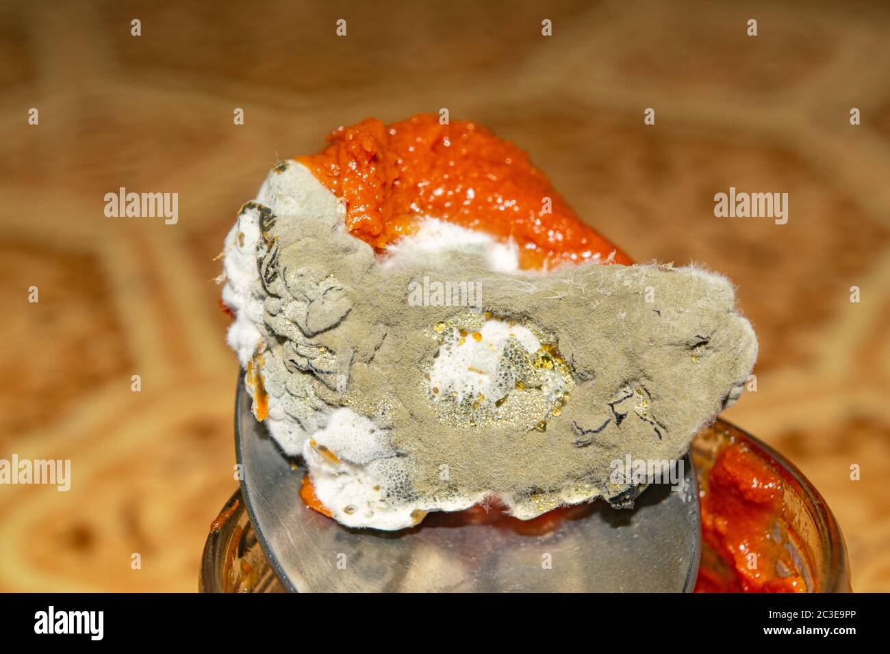 Mold growing on the tomato paste. Close up Stock Photo