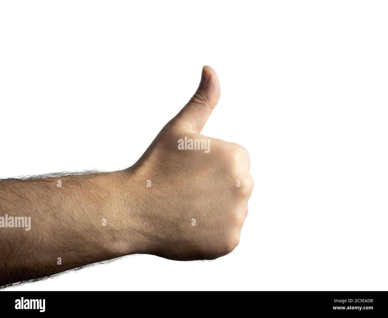 Men's brutal hairy hand clenched into a fist and showing a thumb against an isolated background Stock Photo