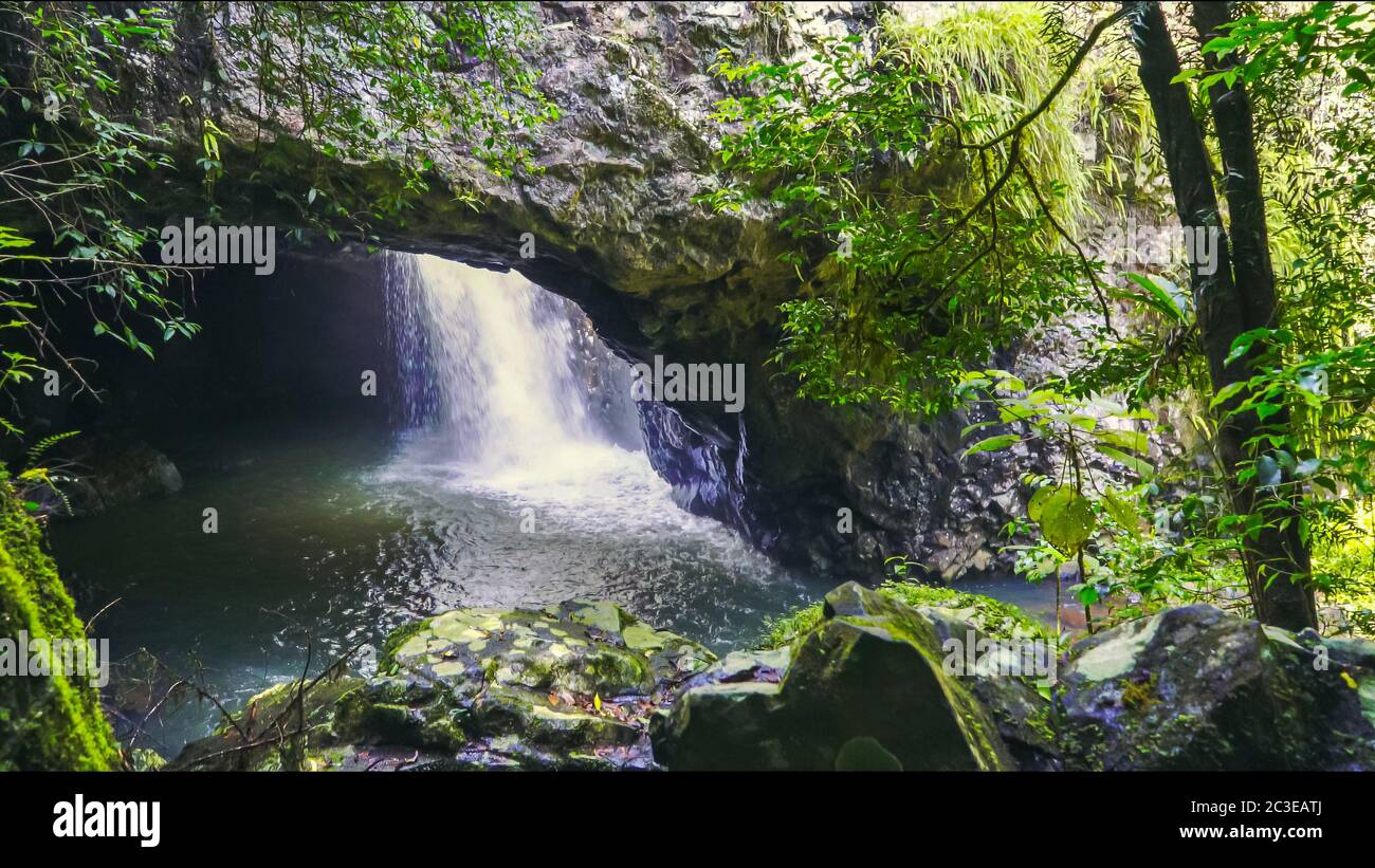 the view looking into the cavern at natural bridge in springbrook national park Stock Photo