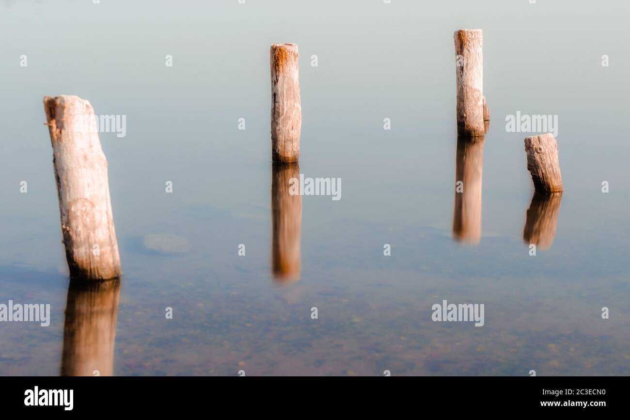 wooden columns in a calm surface of the water Stock Photo