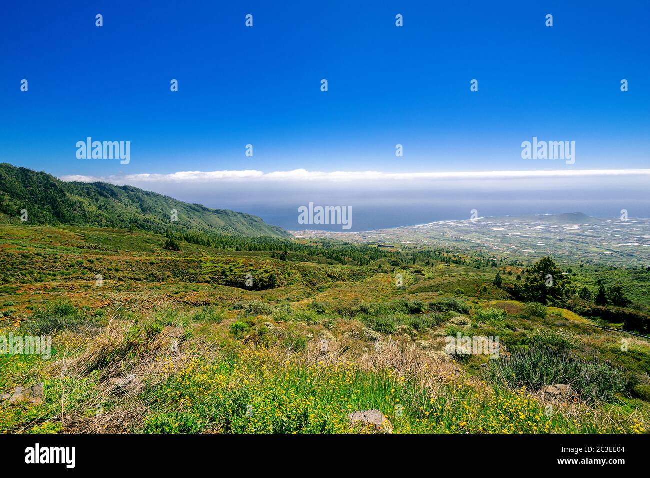 view on coast of Tenerife Island Stock Photo