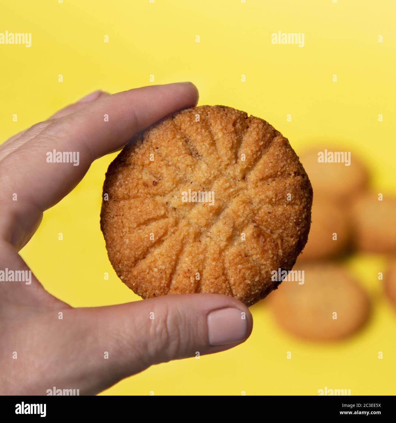 Female hand holds homemade cookies close-up on a bright yellow background. Gluten free pastry made from almond flour. Stock Photo