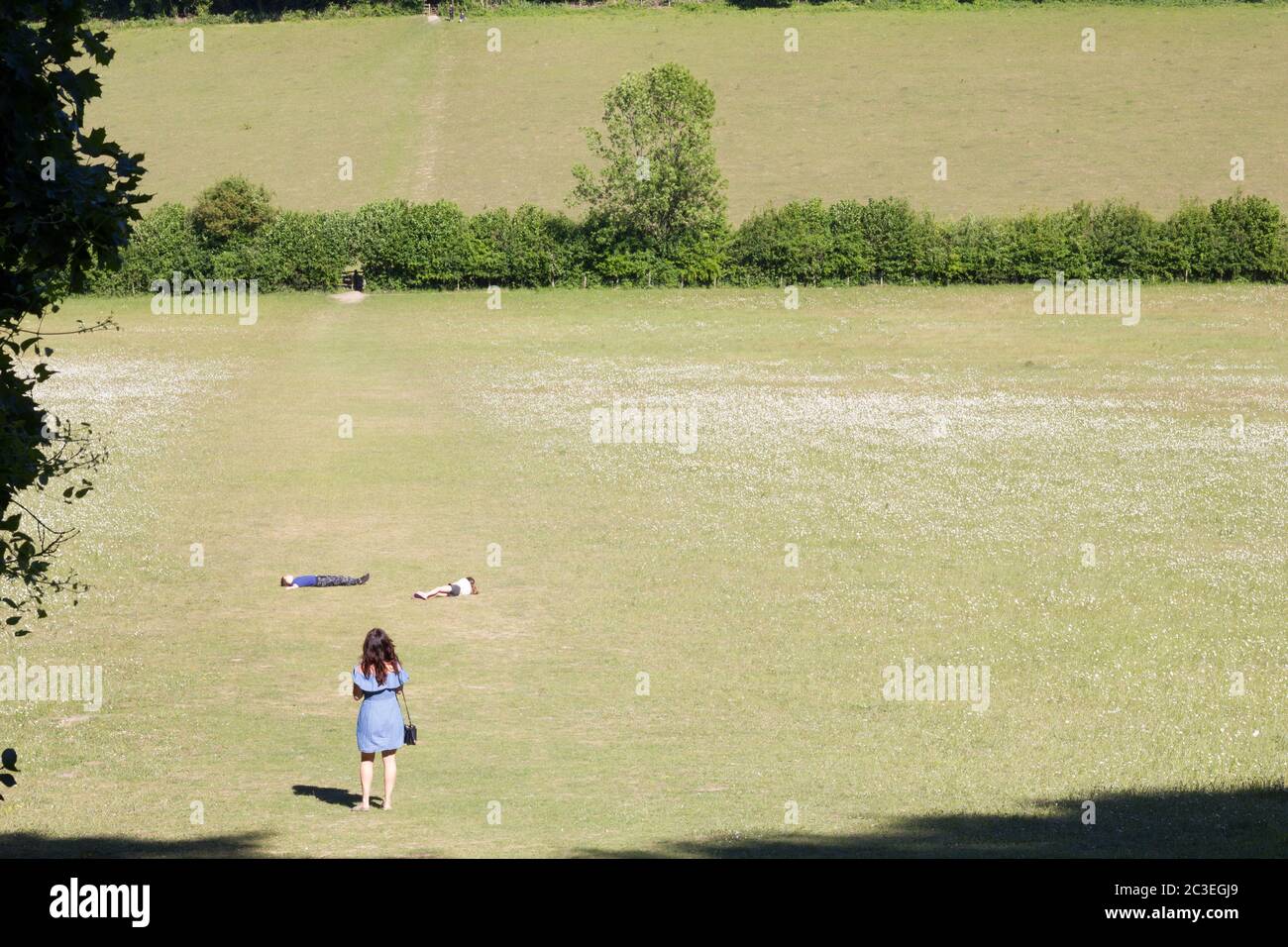 Family day out during English summer playing in the countryside field, UK Stock Photo