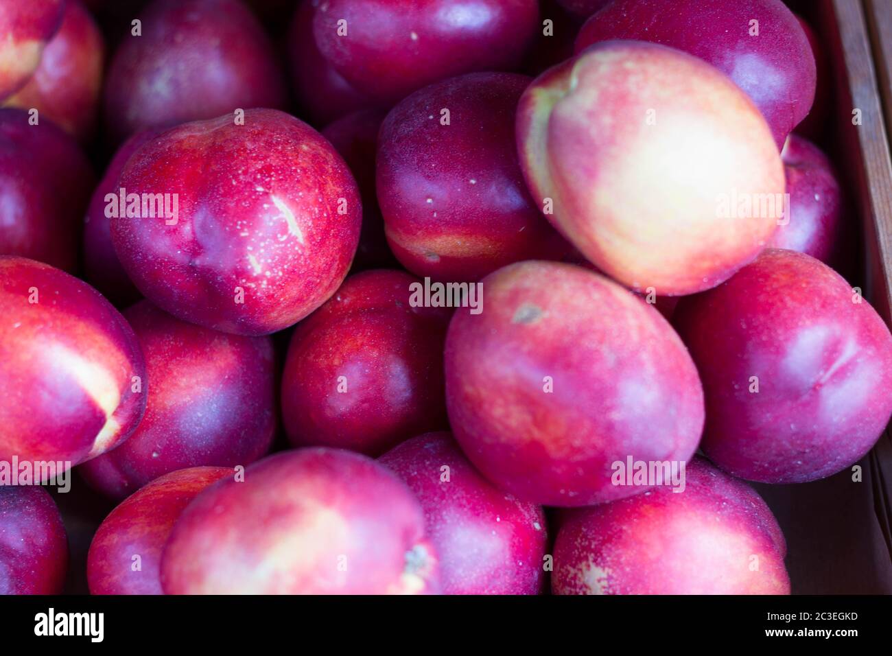 plum fruits harvest Stock Photo Alamy