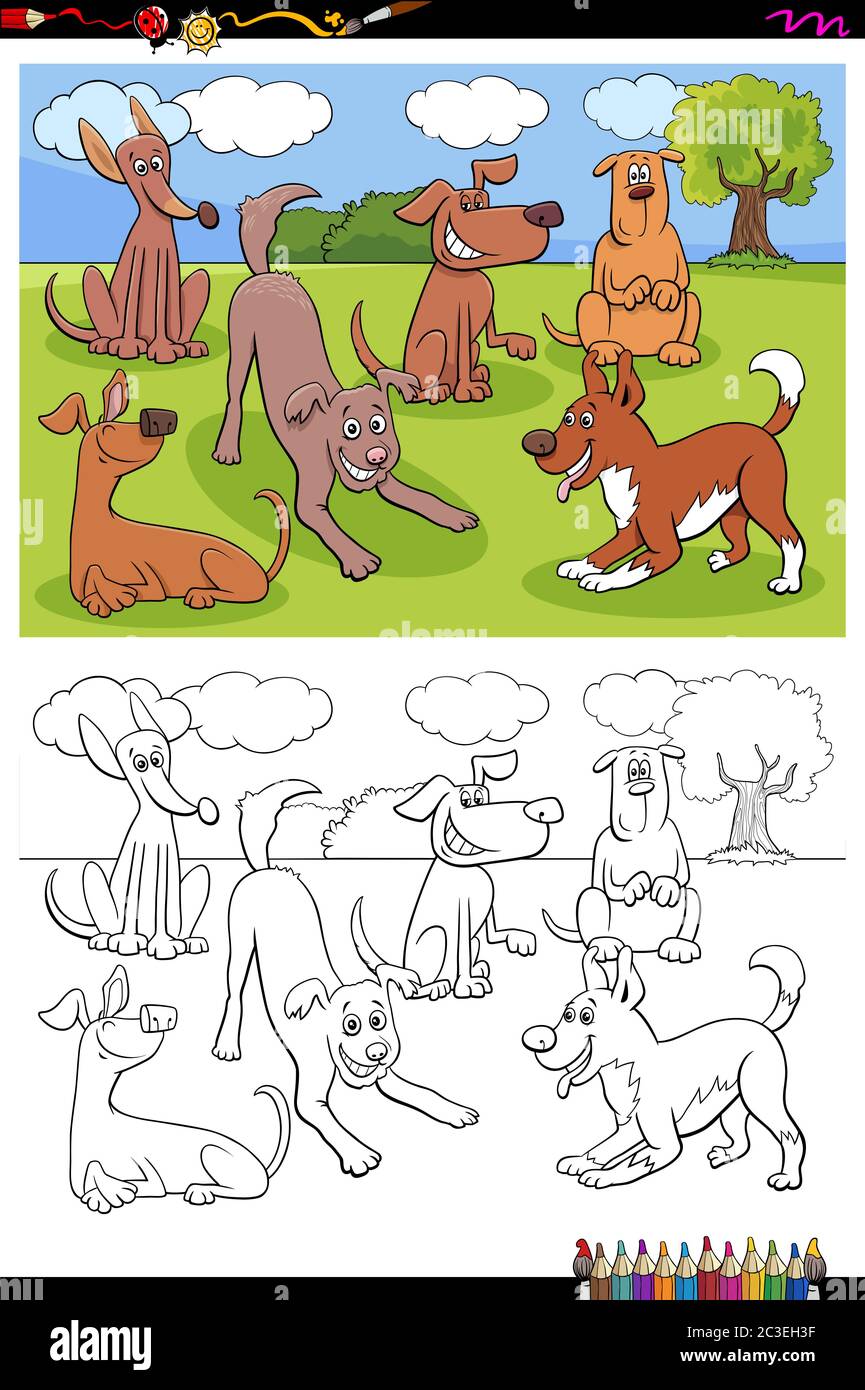 dogs animal characters group coloring book page Stock Photo - Alamy