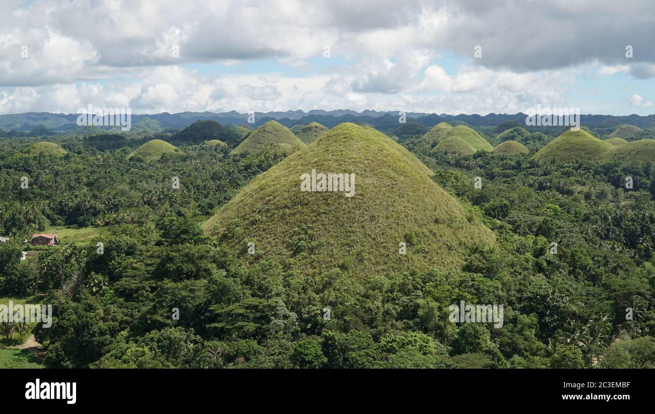 Chocolate Hills green hills in jungle landscape on Bohol Island in the