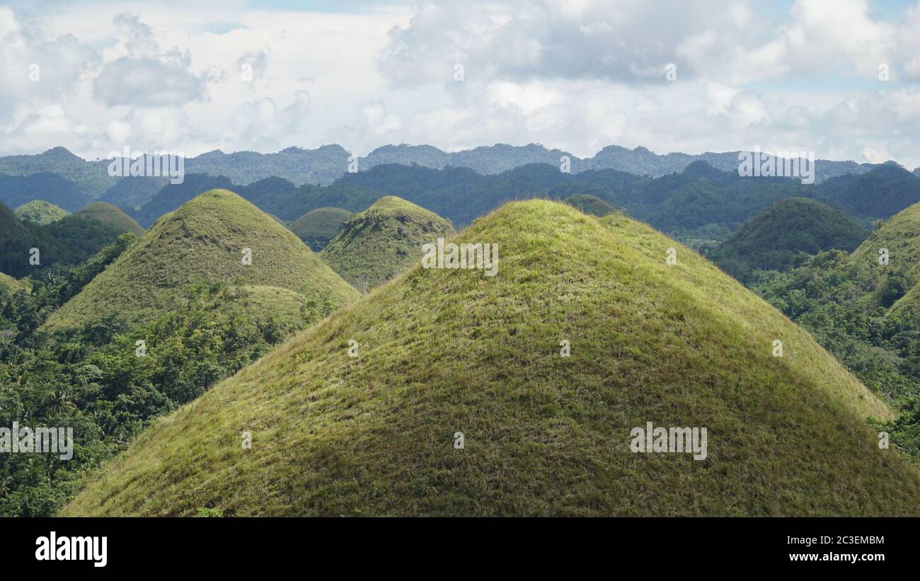 Chocolate Hills green hills in jungle landscape on Bohol Island in the
