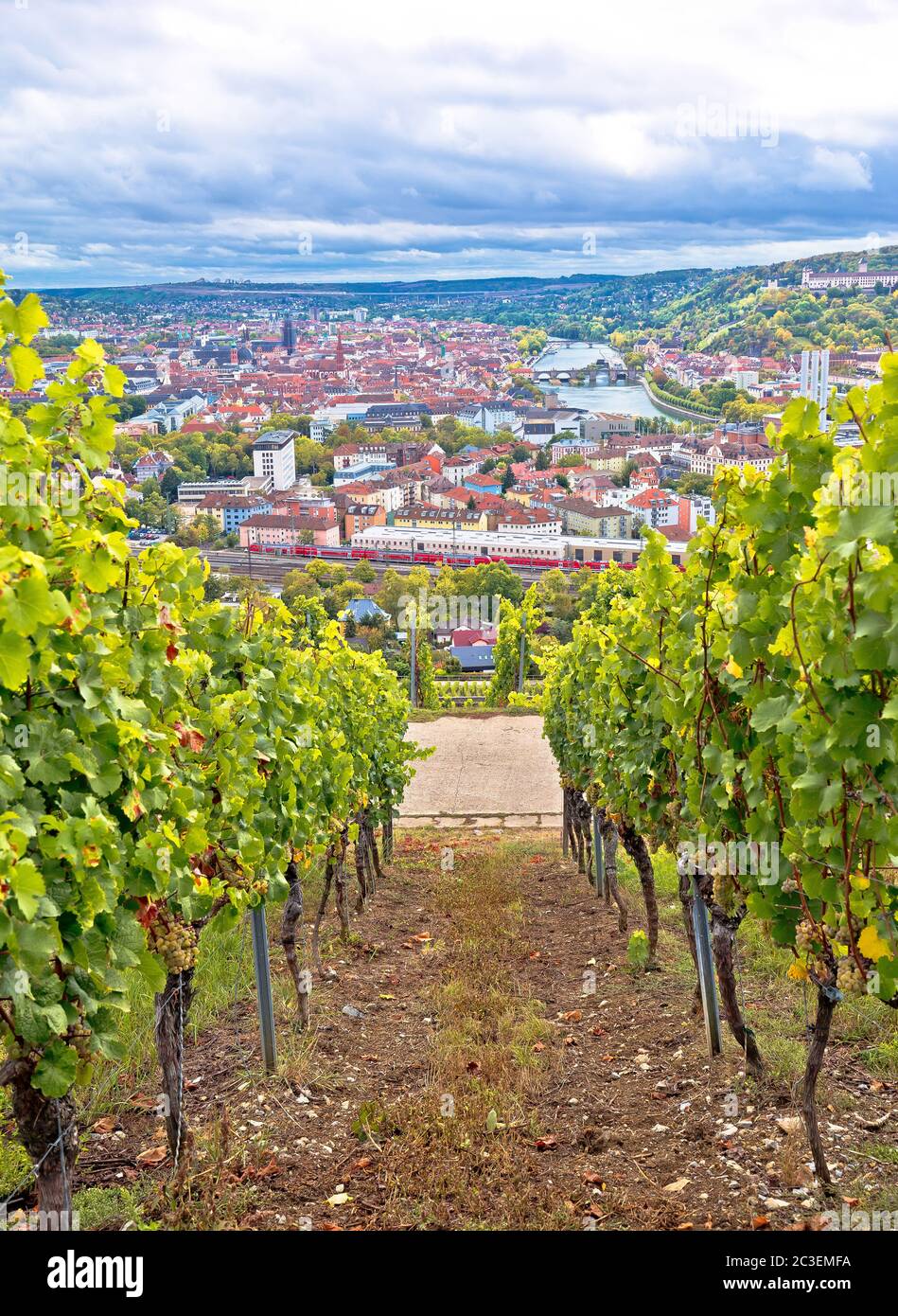 Old town of Wurzburg view from the vineyard hill Stock Photo