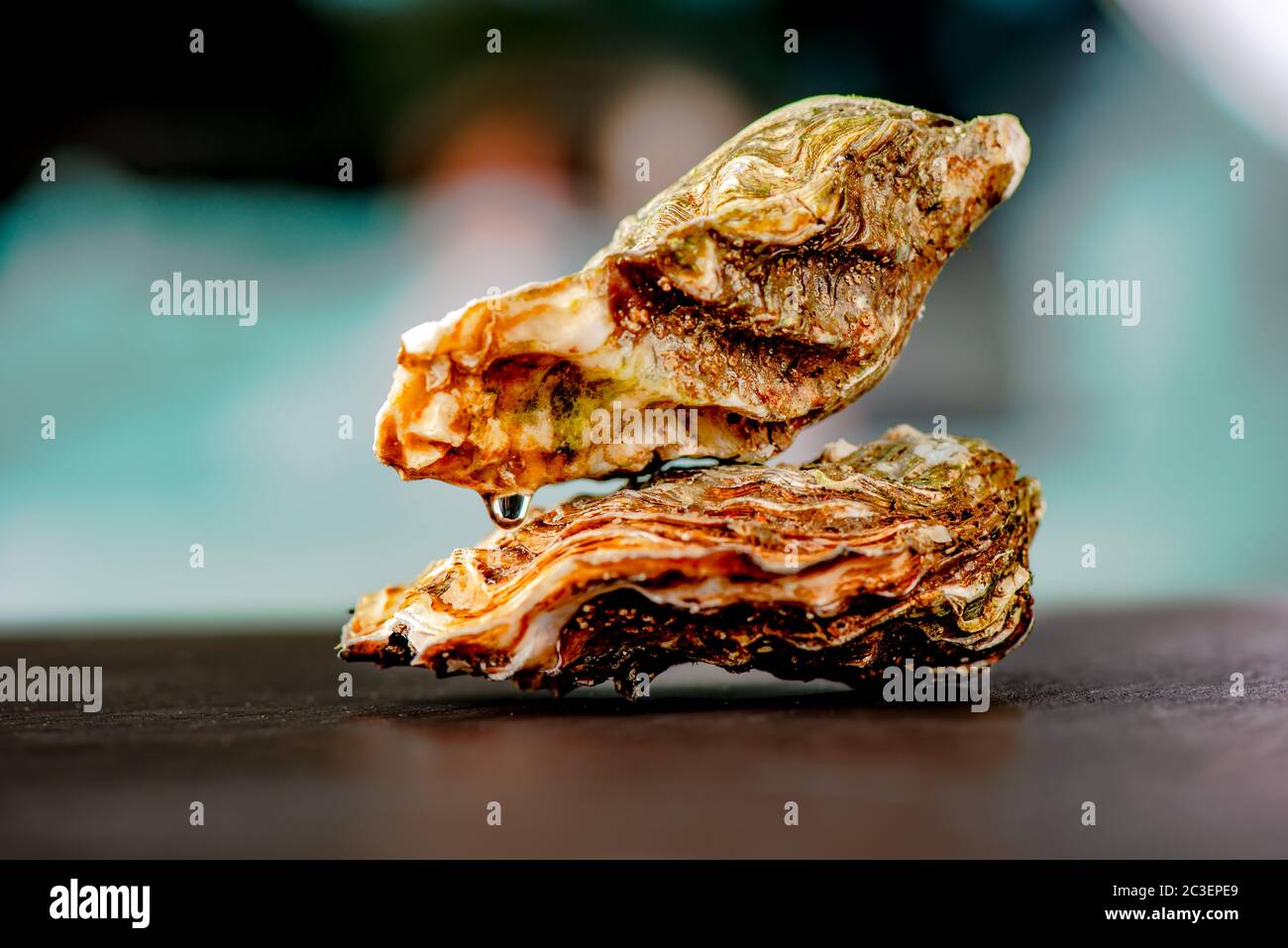 Raw oysters on stone surface Stock Photo