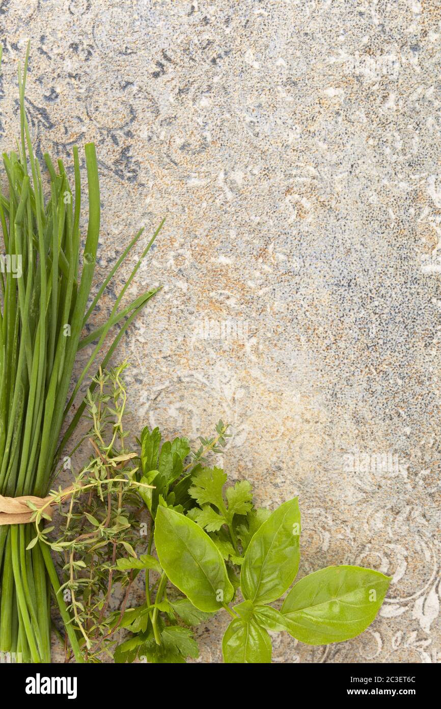 Culinary herbs background. Chive, thyme, parsley, coriander and basil