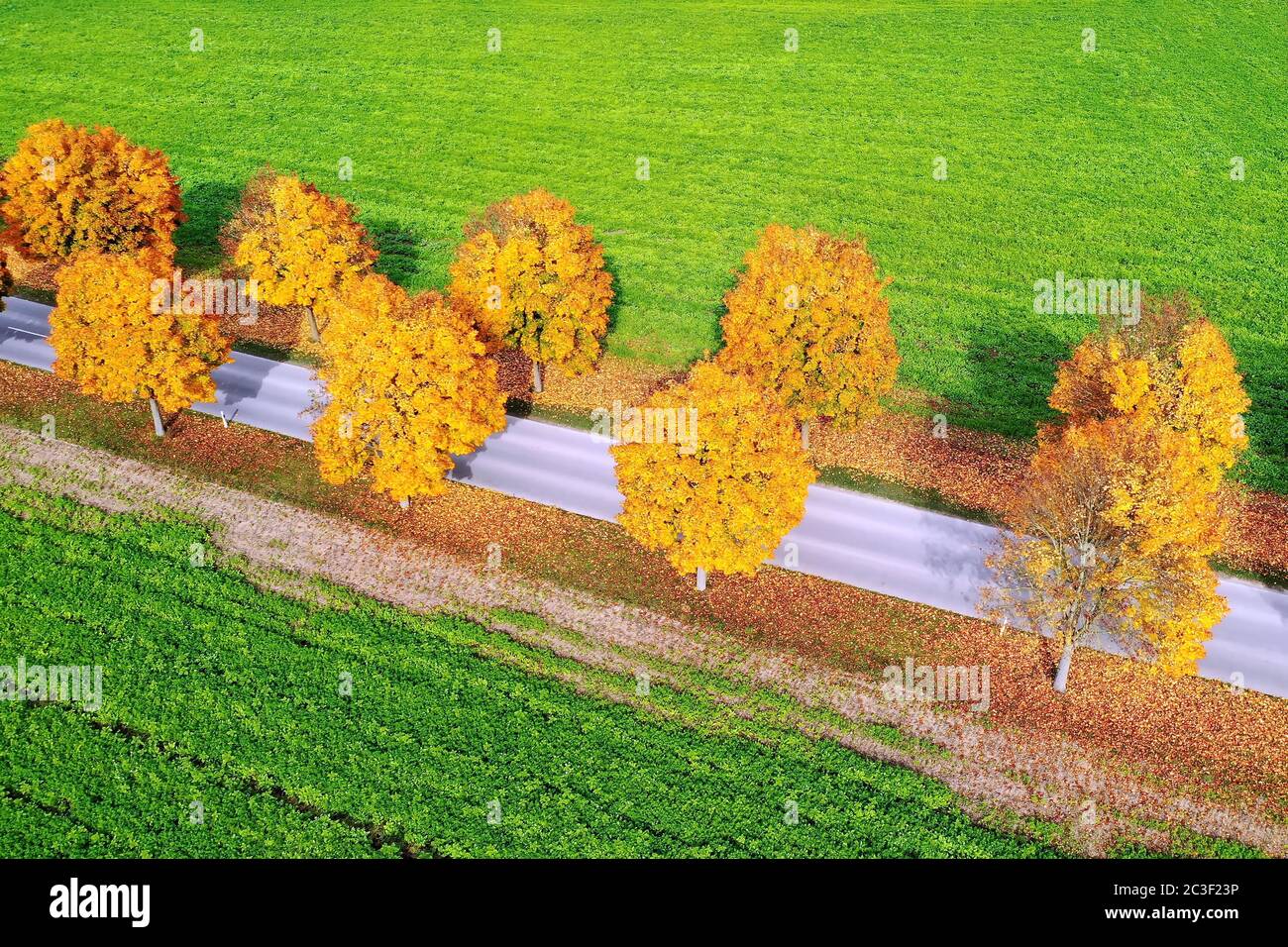 All in the autumn From above Stock Photo