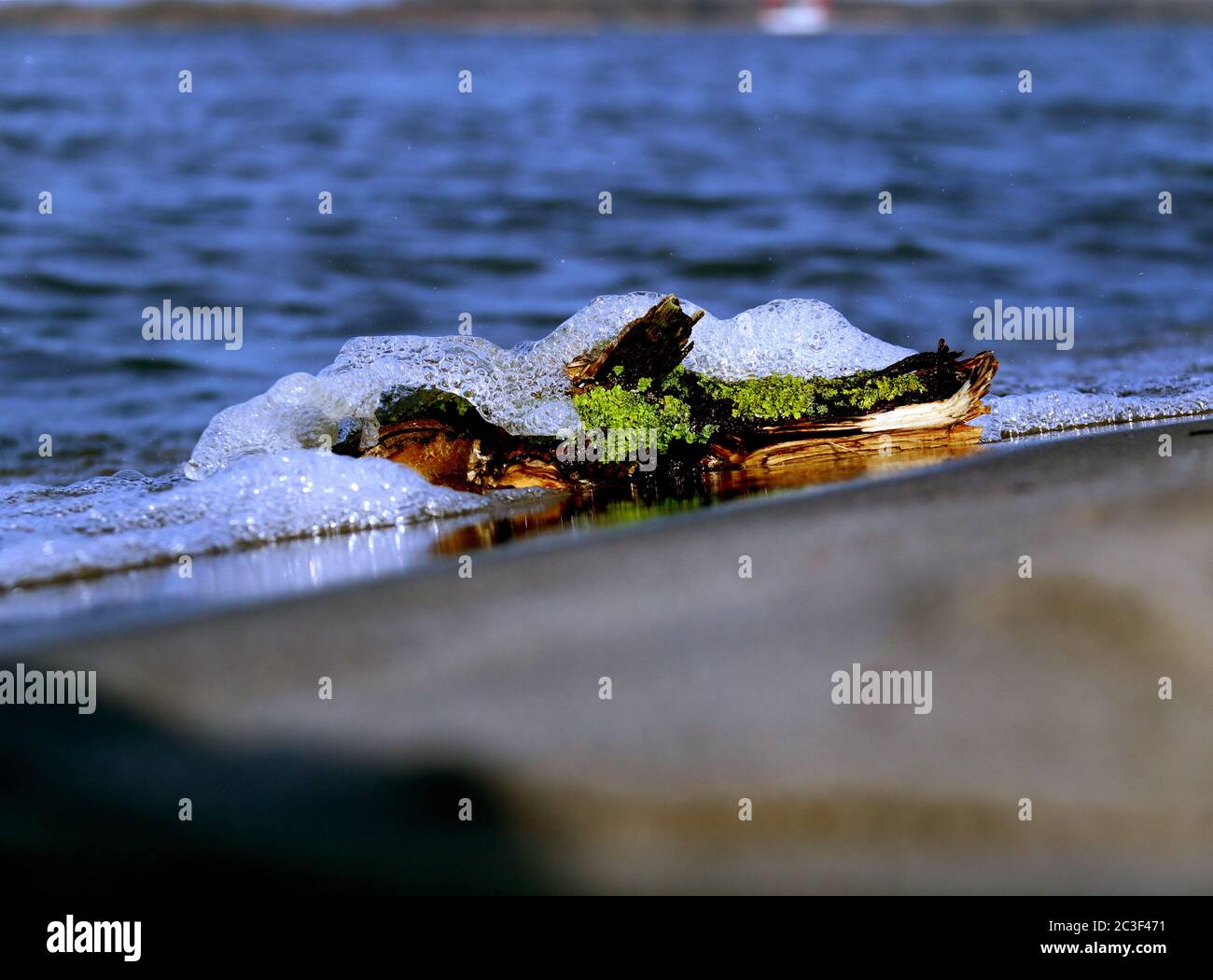 driftwood Stock Photo
