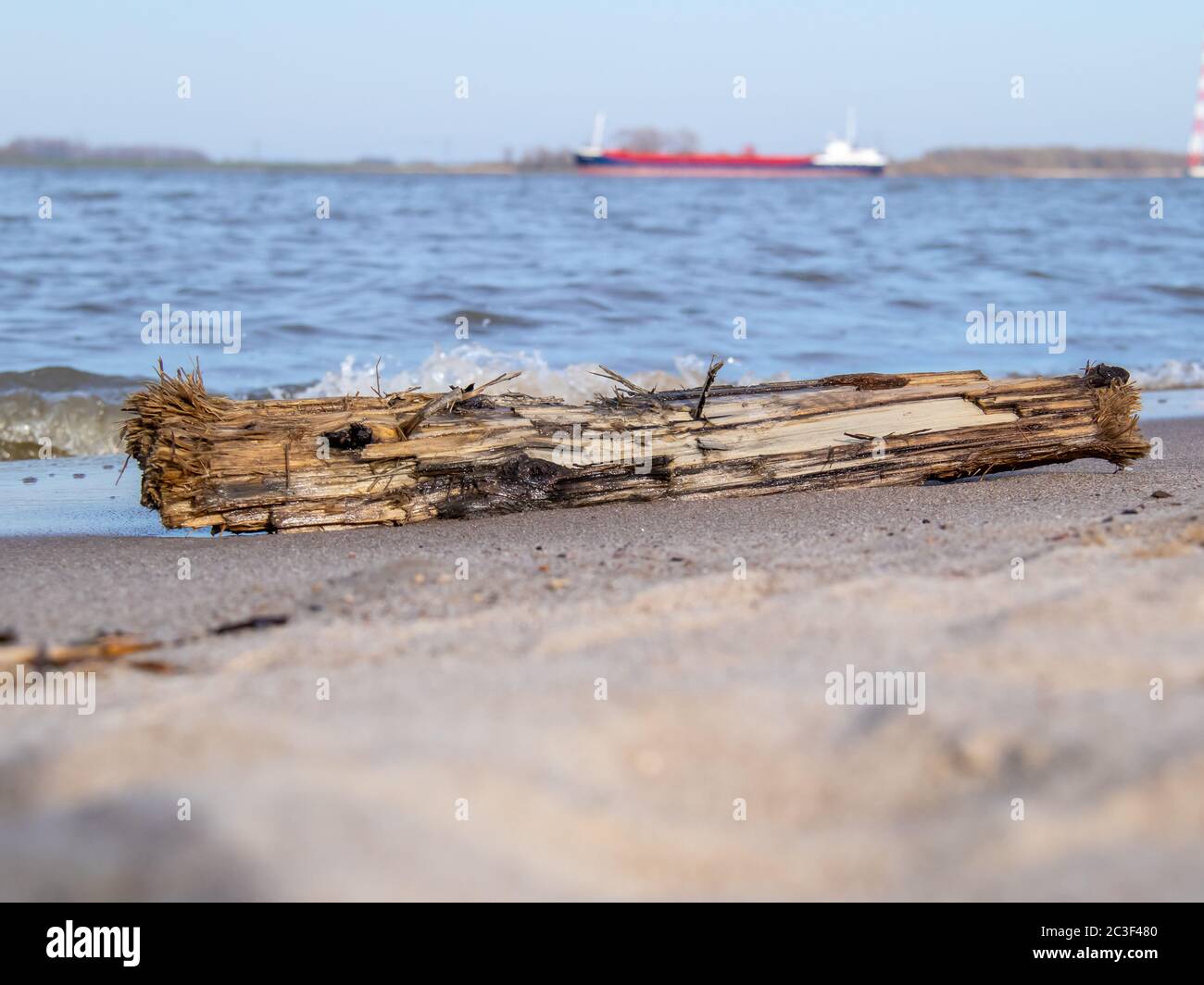 driftwood Stock Photo