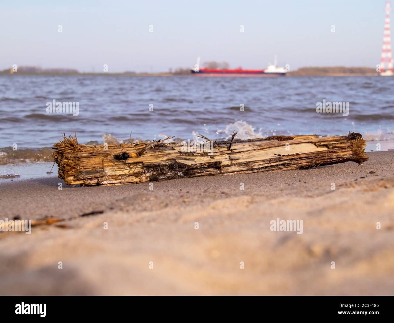driftwood Stock Photo