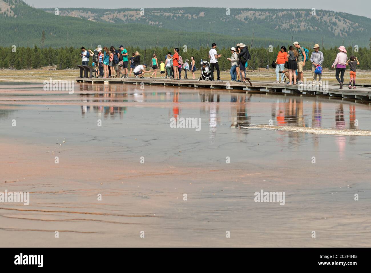 Tourists walk along the boardwalk at Grand Prismatic Spring the largest hot spring in Yellowstone National Park and third largest in the world. Grand Prismatic is about 250 by 300 feet in size, averages 160 degrees Fahrenheit and is up to 160 feet deep. The bright colors around the spring are from cyanobacteria mats. The Grand Prismatic Spring is part of the Midway Geyser Basin Excelsior Group in Yellowstone, Wyoming. Stock Photo