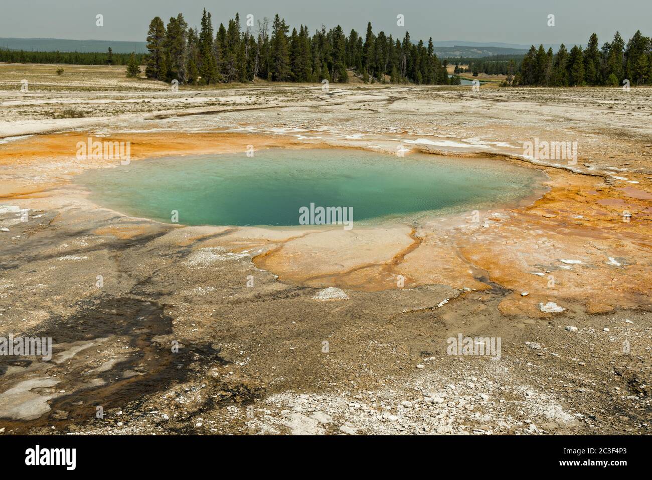 Turquoise Pool in Yellowstone National Park. The bright colors around the spring are from cyanobacteria mats. The Turquoise Pool is next to the Grand Prismatic Spring and part of the Midway Geyser Basin Excelsior Group in Yellowstone, Wyoming. Stock Photo