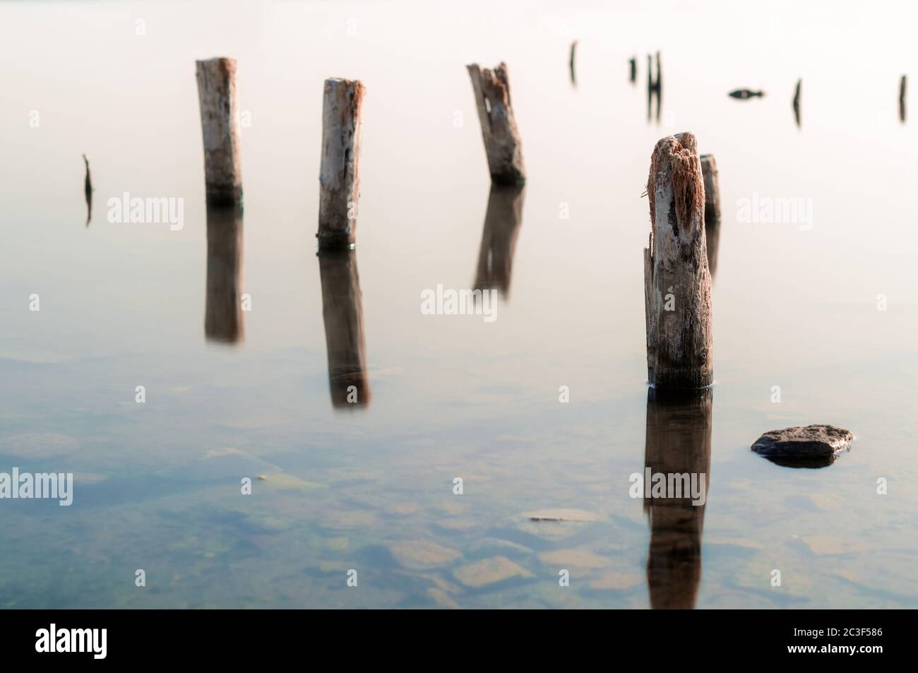 wooden columns in a calm surface of the water Stock Photo