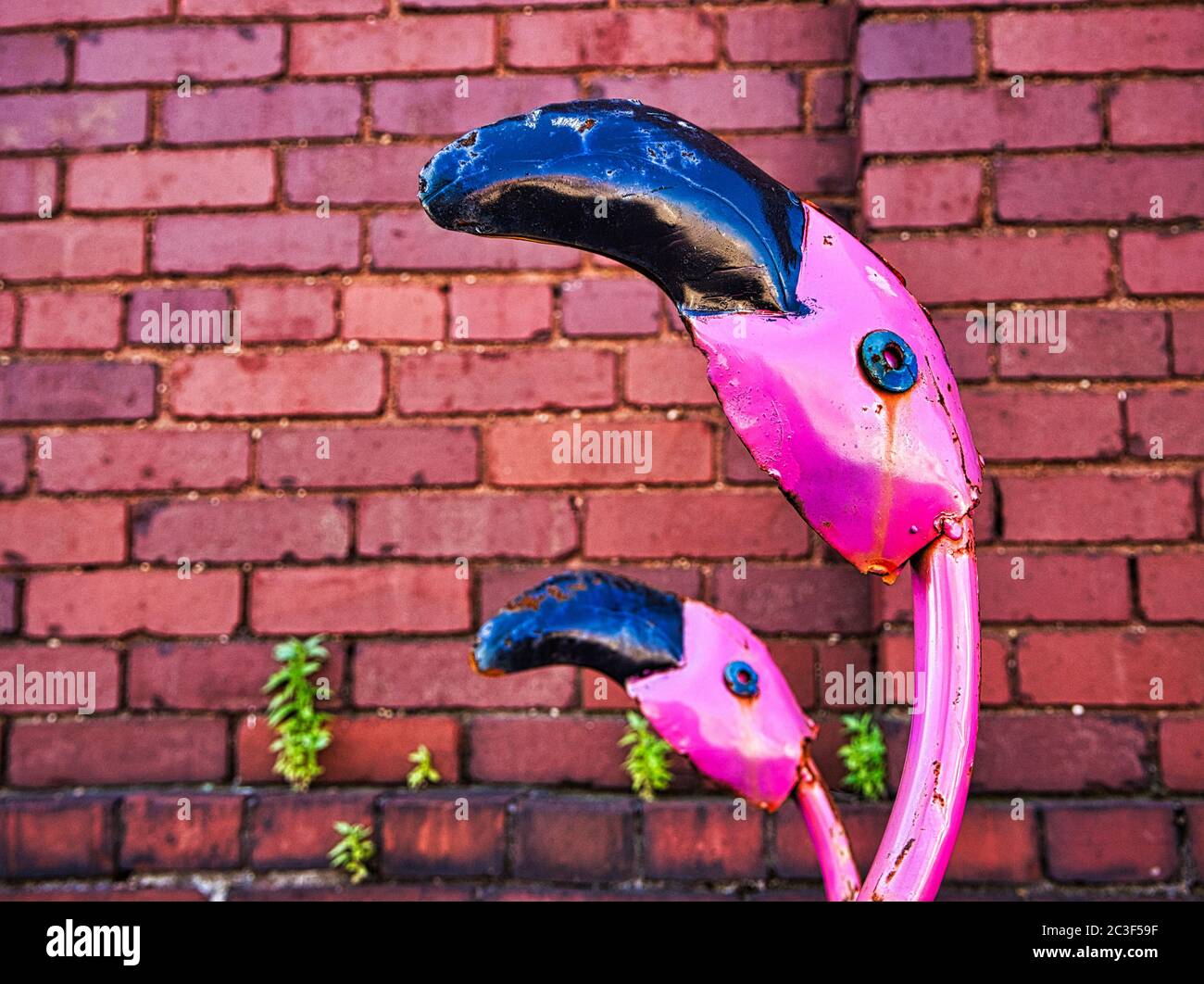 cute flamingos in front of brick wall Stock Photo