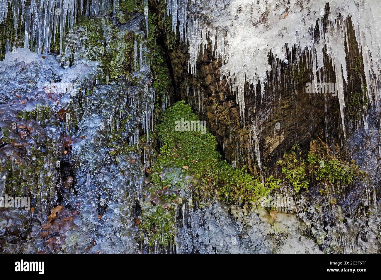 Ice cones at the Plaesterlegge waterfall in winter, Bestwig, Sauerland, Germany, Europe Stock Photo